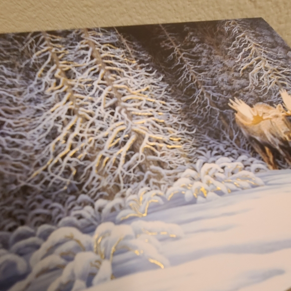 20 Moose Christmas Cards with box - Picture 5 of 11